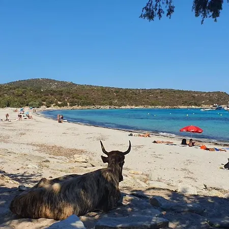 Casa Versini 3* Balogna